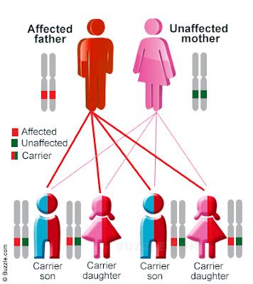 Medical Science Made Easy: Autosoml Recessive diseases at a glance