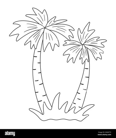 Vector Palmera Contorno Divertida Planta Exótica Tropical Ilustración