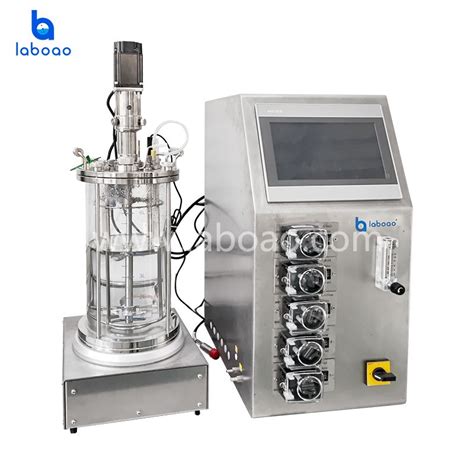 Jacketed Temperature Control Off Site Sterilization Glass Fermenter