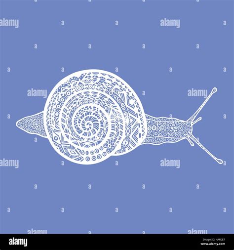 Hand Drawn White Doodle Snail On Blue Background Vector Snail In