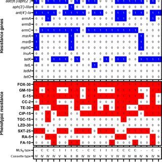 Antibiotic resistance phenotypic profile and resistance genes in 22 ...