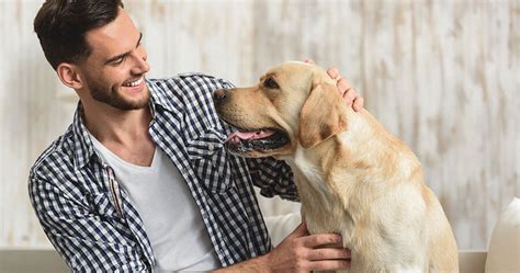 Cómo Saludar A Un Perro Correctamente