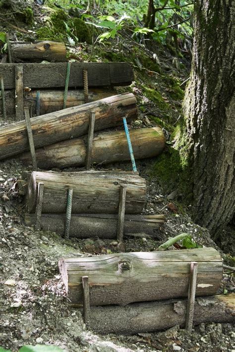 Nedgång Av Stockar Från En Sluttning I Skogen Arkivfoto Bild av