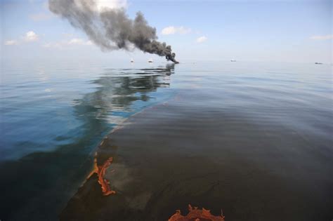 How the BP oil spill hurt Gulf Coast wildlife and livelihoods | PBS News