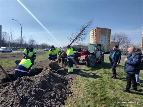 Stalowa Wola najnowsze wiadomości z miasta Sztafeta pl