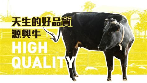 嘖嘖 專案更新 【源興牛飼育計畫】 來募台灣人的和牛，自己和牛自己養 ：感謝您的一路相伴，募資提前結束通知！