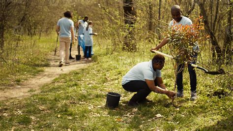 African american activists planting trees for nature preservation