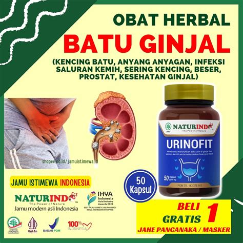 Jual Obat Batu Ginjal Infeksi Saluran Kemih Prostat Sering Kencing