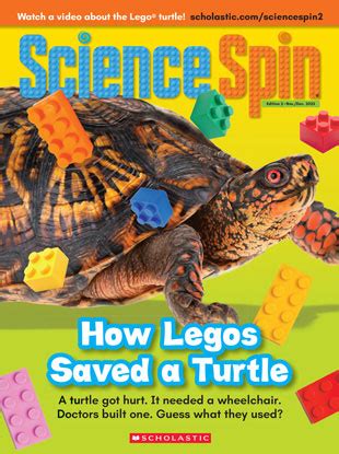 How Legos Saved a Turtle - October 2023