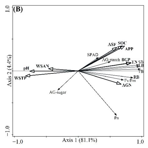 Bidimensional Graphs From Redundancy Representing The Relationship