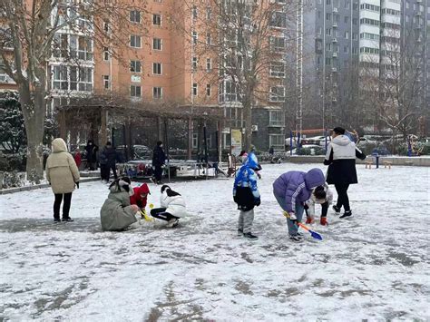 郑州发出暴雪蓝色预警信号 未来七天全省最高气温0℃左右 大河新闻