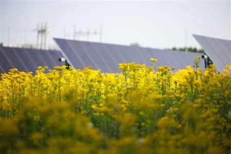 Lightsource Bp Energizes Mw Solar Farm In Indiana With Verizon