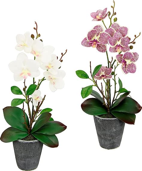 Amazon de Flair Flower Kunstblumen Orchidee mit Blätter im Topf