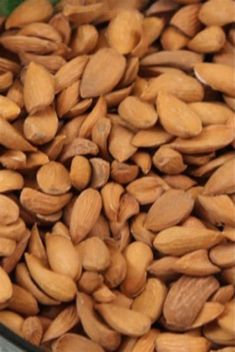 Kashmiri Curved Mamra Almonds At Rs 1100 Kg Mamra Almonds In Pahalgam