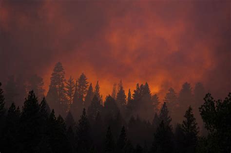 Enormous Forest Fires Devastate Yosemite National Park 20 Pics