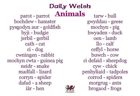 Waleslandofmyfathers Learn Welsh Welsh