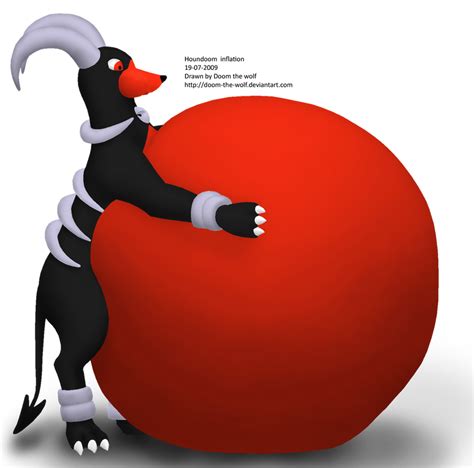 Houndoom Inflation By Doom The Wolf On DeviantArt