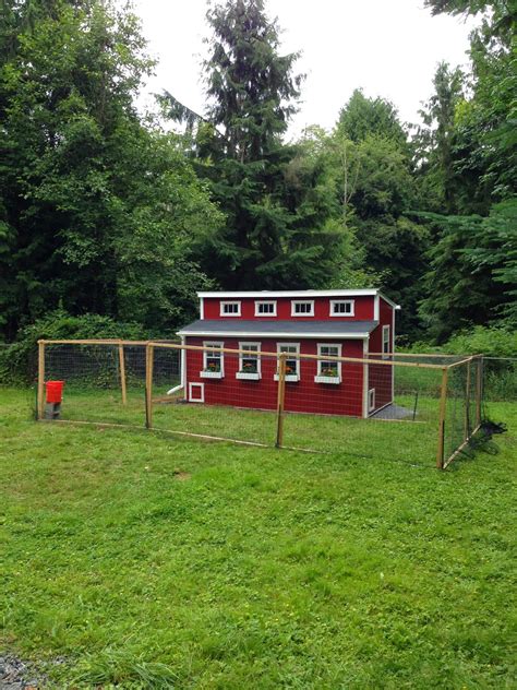 The REAL Housewife of Snohomish County: Ol' Fashioned Coop Raising