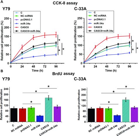 CASC8 Overexpression Promoted The Proliferation Of Rb Cells Through