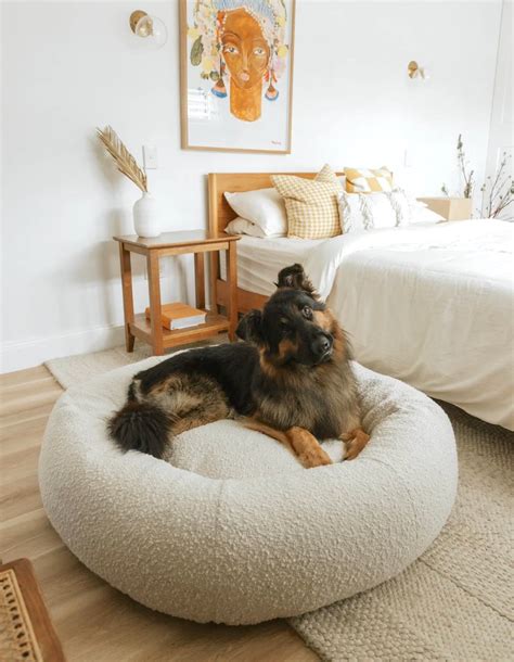 Extra large dog beds