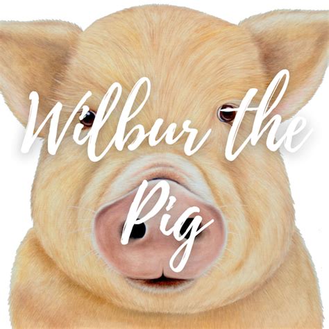 Wilbur the Pig