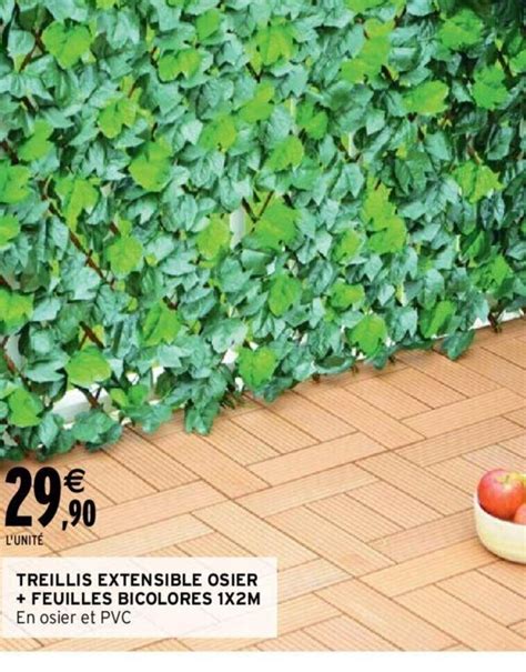 Promo Treillis Extensible Osier Feuilles Bicolores X M Chez Intermarch