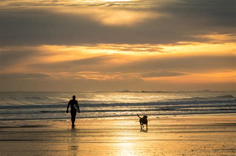 California's Best Dog Beaches for Surfers - Surfline