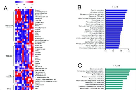 Heat Map Of Differential Metabolites Found By Metabolomics Analysis And