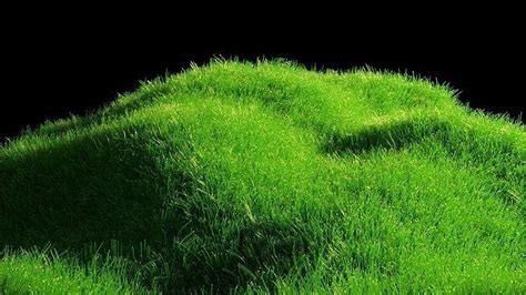 3d Model Blender Realistic Grass With Particle System Vr Ar Low Poly Cgtrader