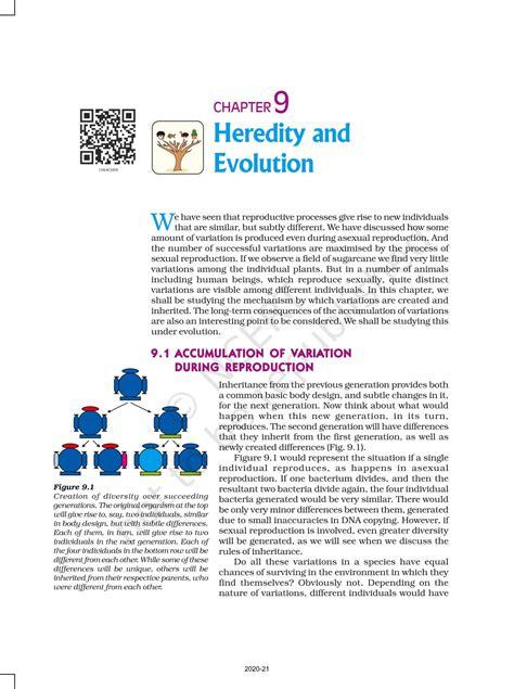 Heredity And Evolution NCERT Book Of Class 10 Science