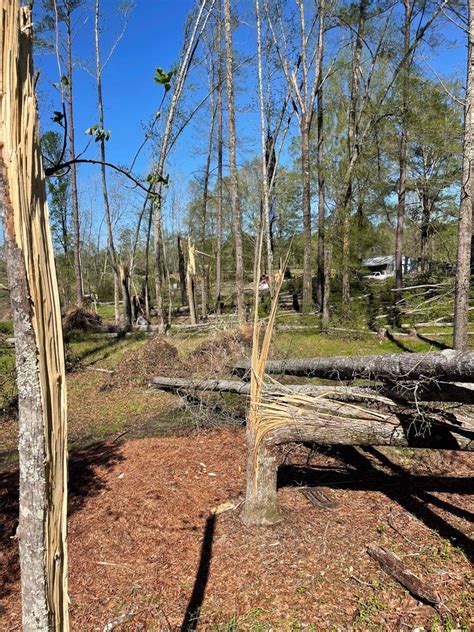 EF 1 Tornado Touches Down In Northern Dallas County The Selma Times