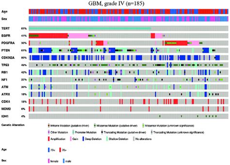 Somatic Alterations Of Driver Genes In Glioblastoma Driver Gene