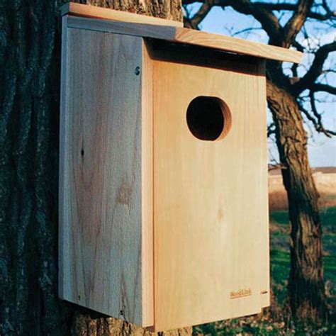 Woodlink-Cedar-Wood-Duck-Nest-Box.html