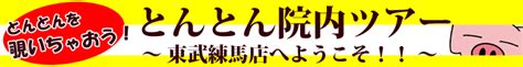 とんとん体験ツアー 練馬・ときわ台の姿勢矯正・痛み改善整体院【とんとん整骨院】