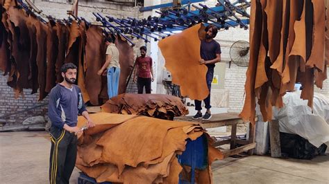 Wonderful Making Process Of Pure Leather From Salted Cow Hides How