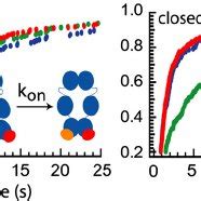 Effect of N-terminal mutation on C-terminal dimerization. Relative ... 