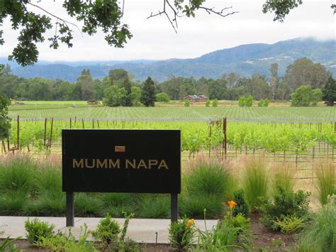 Mumm Winery - Napa Valley, CA | Smithsonian Photo Contest | Smithsonian ...