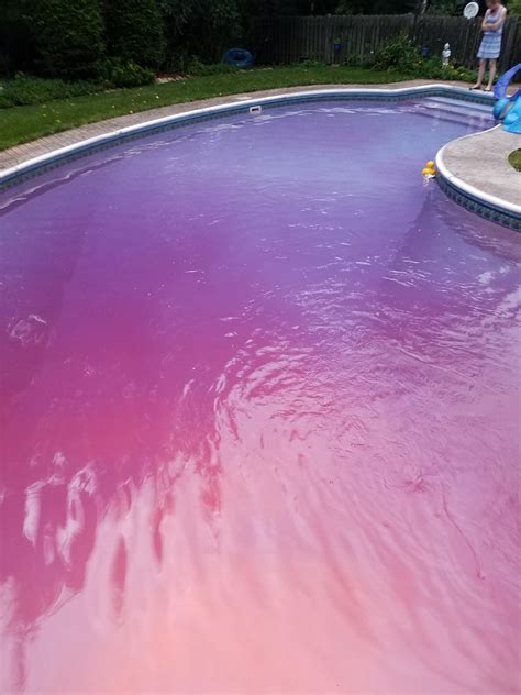 Poured Dye Into The Pool While The Parents Were Gone R Pics