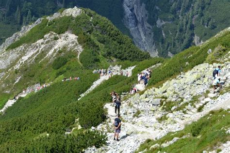 Tatry Lipcowe T Umy Na Szlakach Podr E