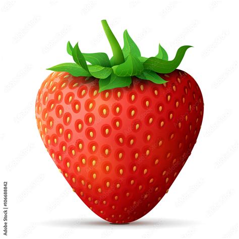 Strawberry fruit close up. Strawberry with leaves isolated on white ...