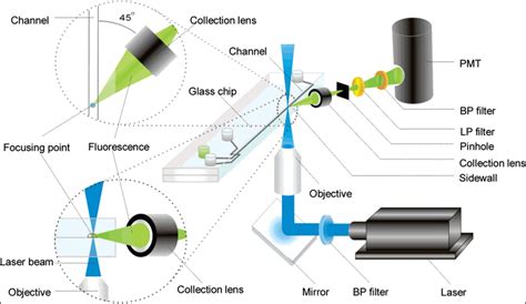 Example Laser Induced Fluorescence Setup When Integrated With A Download Scientific Diagram