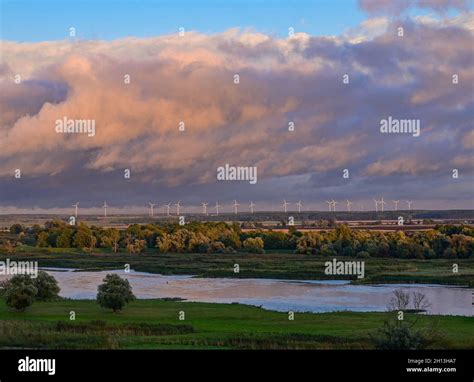 river oder  evening light oderbruch  res stock photography
