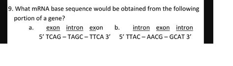 Answered What Mrna Base Sequence Would Be Bartleby