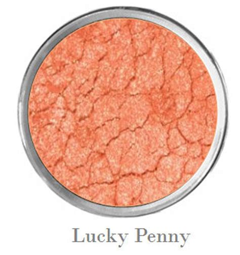 Naked Smoky Eye Shadow Palette Warm Earth Toned Natural Eye Makeup W Built In Primer Copper