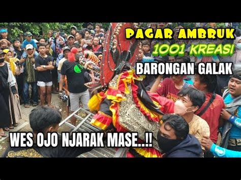 Barongan Ngamuk Super Galak Jaranan Mayangkoro Original Live Kebun