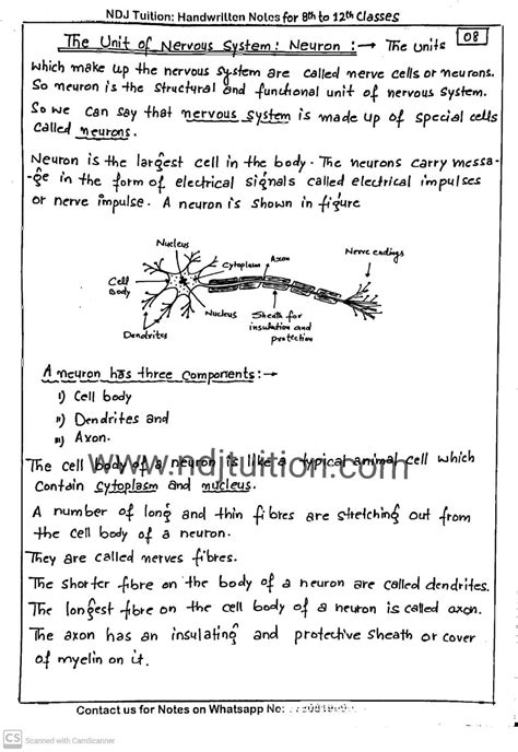 Control And Coordination Class Notes Science Chapter Artofit