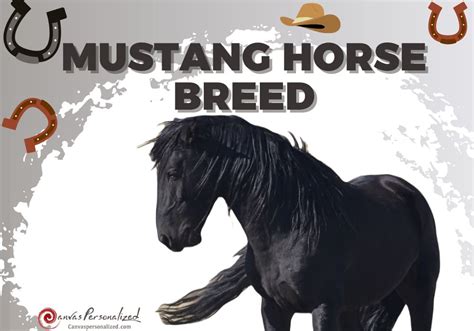 Exploring Mustang Horse Breed: Wild Origins And Traits