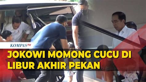 Momong Cucu Saat Libur Jokowi Ajak Jan Ethes Dan La Lembah Manah Main