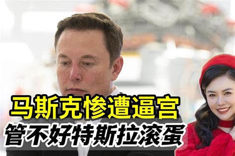 被推特股民喊下课后，马斯克再次惨遭逼宫：管不好特斯拉就滚蛋！凤凰网视频凤凰网