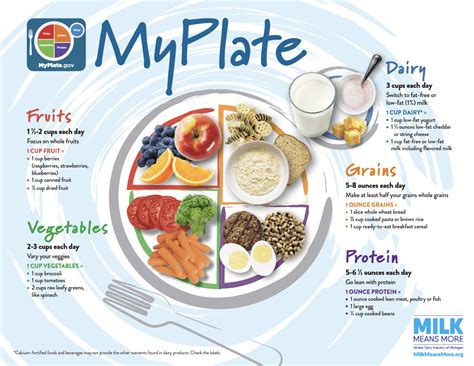 MyPlate Adult Handout United Dairy Industry Of Michigan